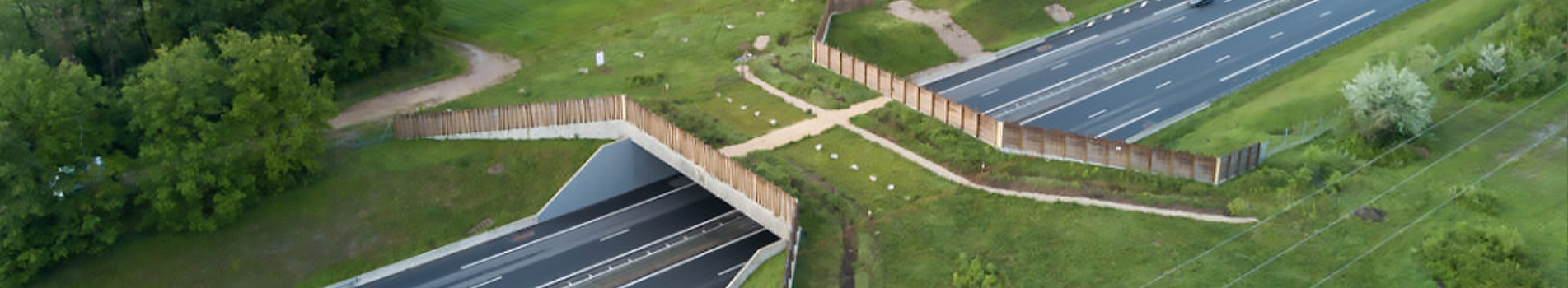 La préservation des corridors biologiques